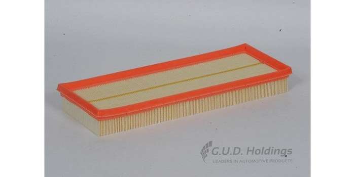 AG1139 Air Filter (GUD)