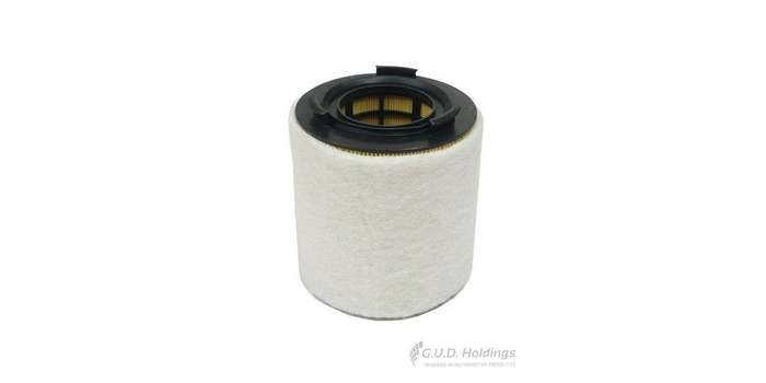 AG1384 Air Filter Audi A1/ Vw Polo (GUD)