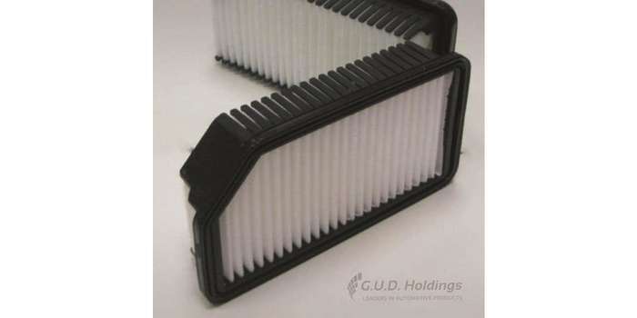 AG1403 Air Filter Kia (GUD)