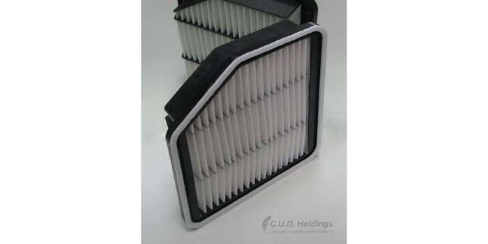 AG1482 Air Filter Lexus Is250 (GUD)