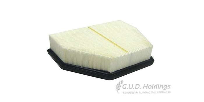 AG1522 Air Filter Chev Captiva 3.0 2011-13 (GUD)