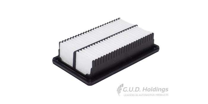 AG1752 Air Filter Hyundai (GUD)