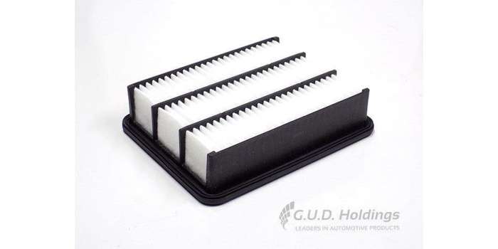 AG1782 Air Filter Mazda (GUD)