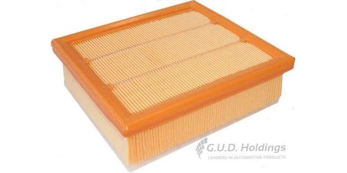 AG1787 Air Filter Fiat 500 X (GUD)