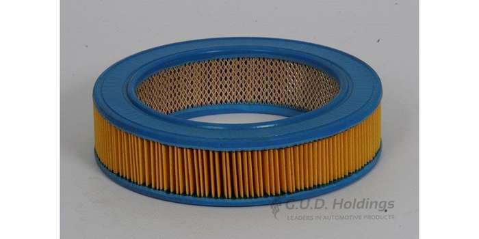 AG452 Air Filter Ford (GUD)