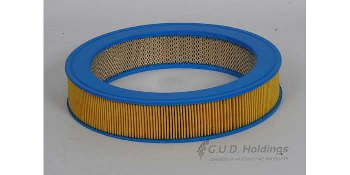 AG469P Air Filter Mazda/Asia (GUD)