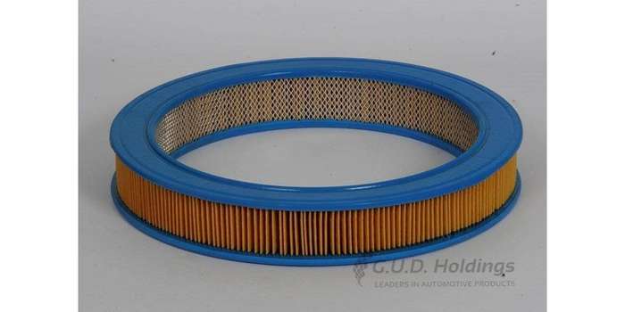 AG596 Air Filter Bmw (GUD)