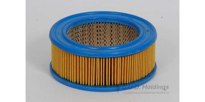 AG607 Air Filter Vw Beetle (GUD)