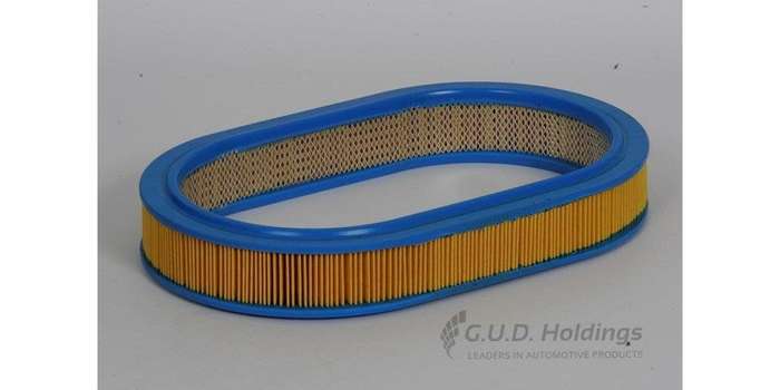 AG703 Air Filter Ford/Mazda (GUD)