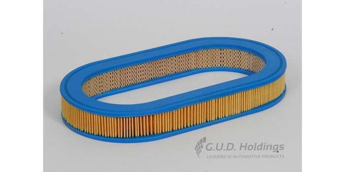 AG729 Air Filter Mazda (GUD)