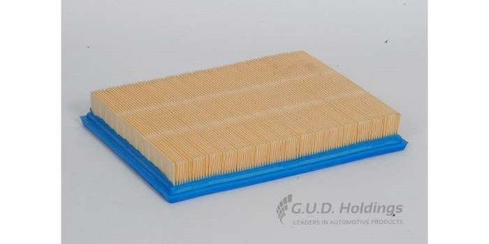 AG894 Air Filter Ford Falcon (GUD)