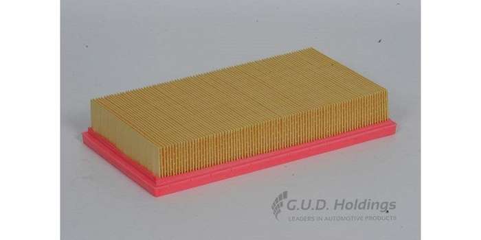 AG979 Air Filter 1.6I (GUD)