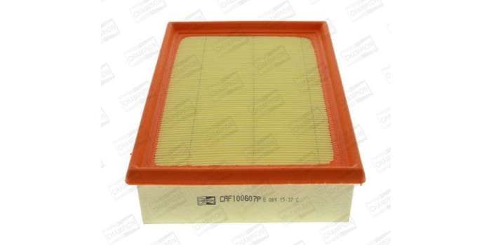 Caf100607P Air Filter Ag835