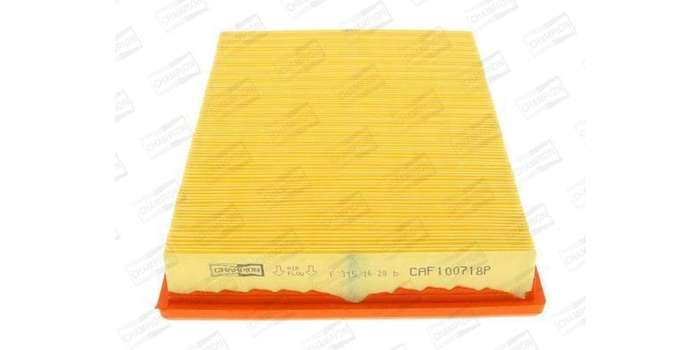 Caf100718P Air Filter Ag999