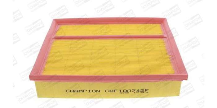 Caf100742P Air Filter Ag1089