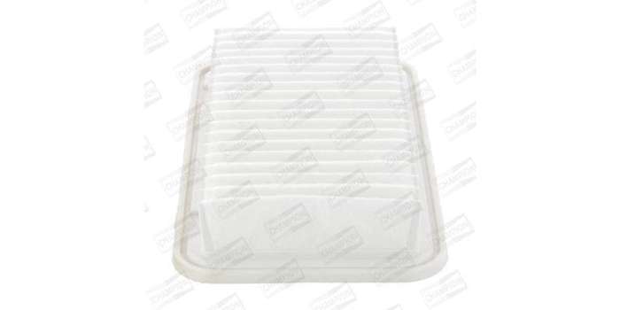 Caf100813P Air Filter Ag1098