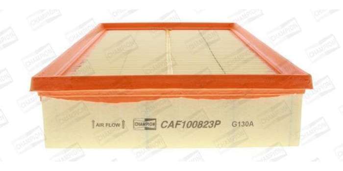 Caf100823P Air Filter Ag1034