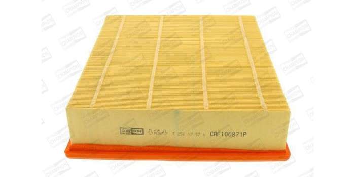 Caf100871P Air Filter Ag916