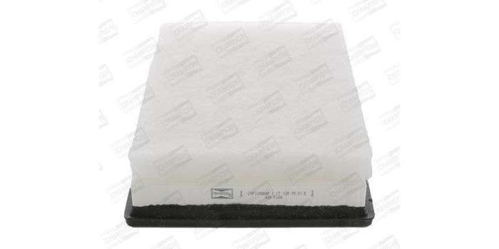 Caf100884P Air Filter Ag996
