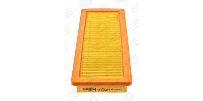 Caf100929P Air Filter Ag1725