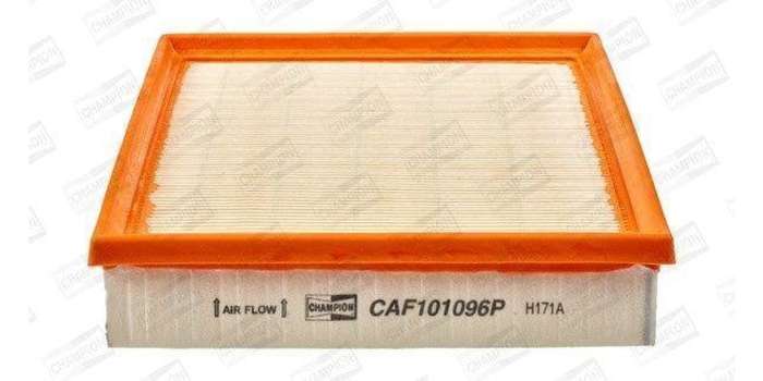 Caf101096P Air Filter Ag1563
