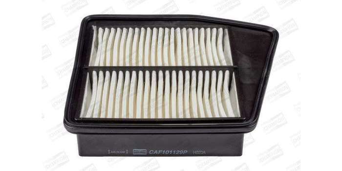 Caf101129P Air Filter