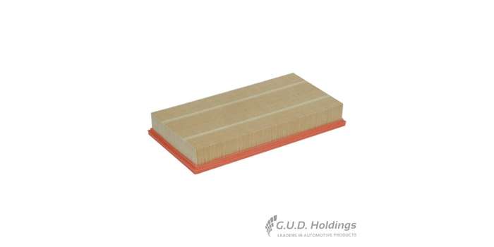 Fram Air Filter Audi Porsche Vw CA10236
