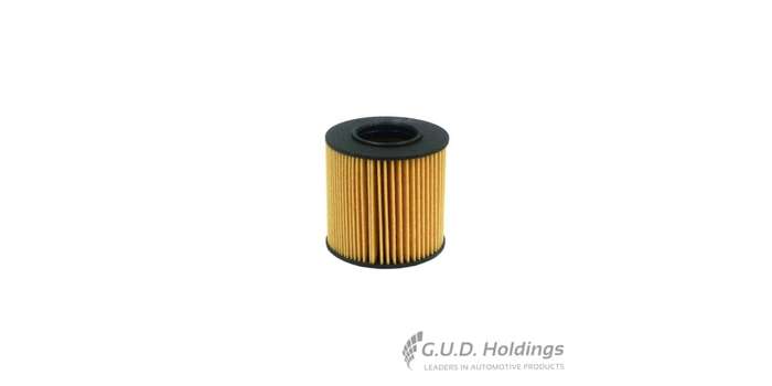 Fram Oil Filter Audi A3/Vw Polo/ Seat Ibi CH9706ECO