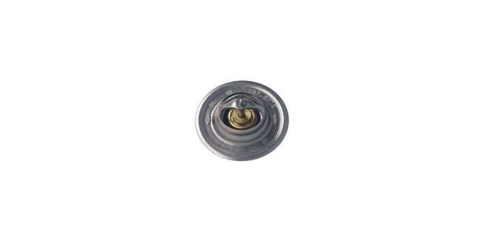 Hella Thermostat (207.87)