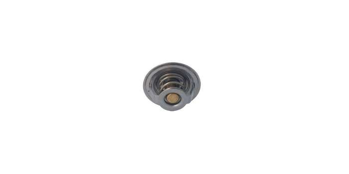 Hella Thermostat (Vt217.82)