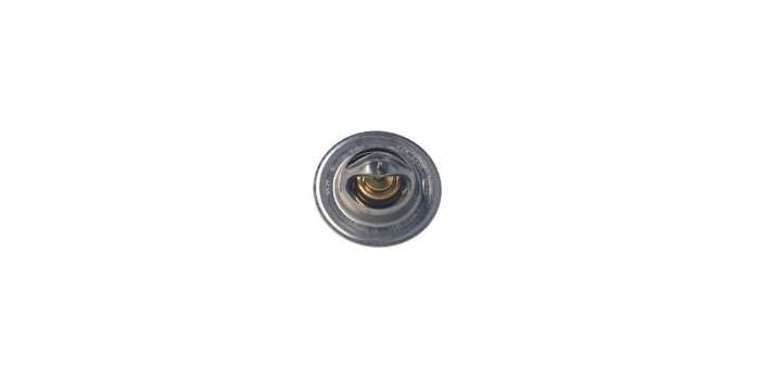 Hella Thermostat (Vt217.82)