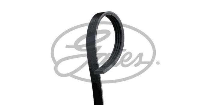 Multi-V Belt (4PK823) [Gates ]