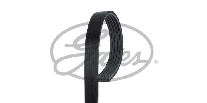 Multi-V Belt (5PK898SF) [Gates ]