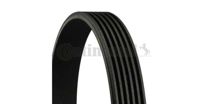 Multi-V Belt (6PK1320) [Continental]