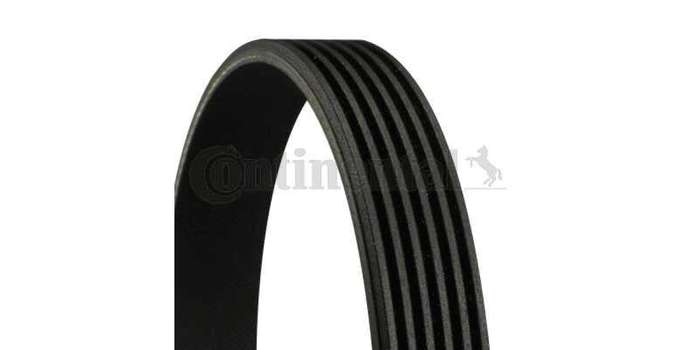 Multi-V Belt (6PK2225) [Continental]