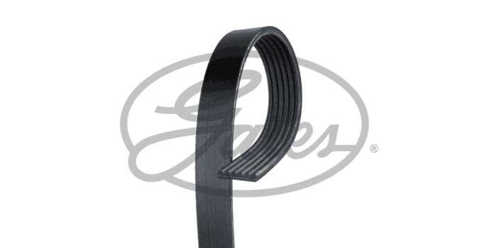Multi-V Belt (6PK2238) [Gates]