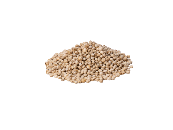 White Sorghum 1kg Lunker