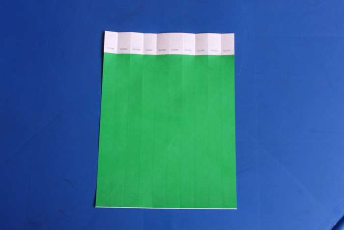 Tyvek 19mm Wristbands for Events (Plain)