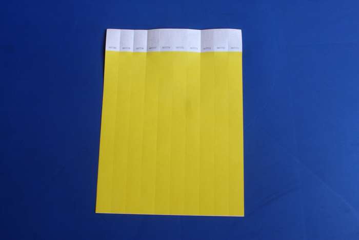 Tyvek 19mm Wristbands for Events (Plain)