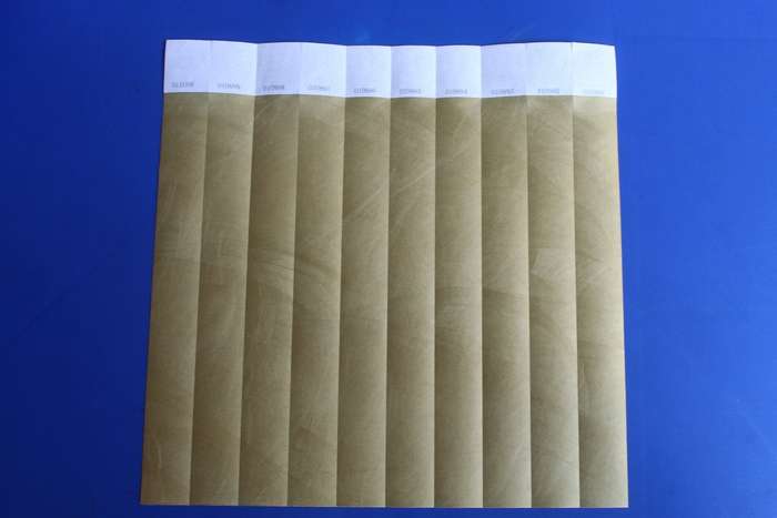 Tyvek 25mm Plain Wristbands for Events