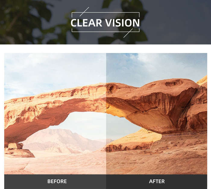 Polarized Wood Violet Vogue Rounds