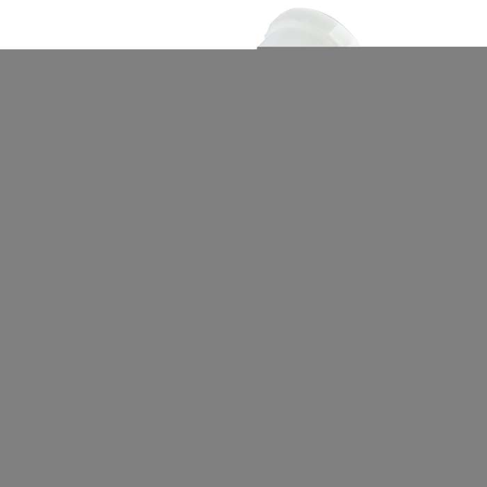 Spray Gun Prof Upper Cup 600 Cc 2 4 Bar 1.4 Noz