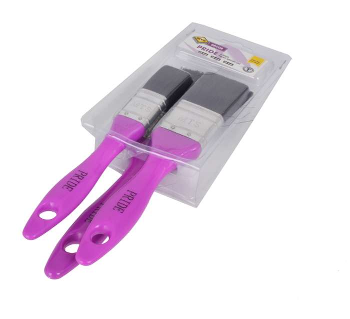 Brush Paint Set Pride 3 P(25 38 50)