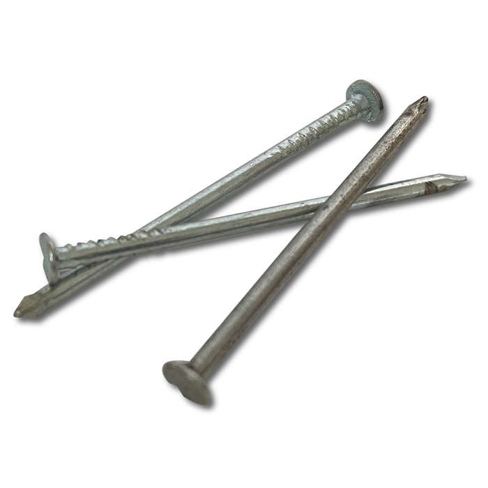 Ifasten Nail Clout Semi 25 Mmx2 Mm 75 G Pp