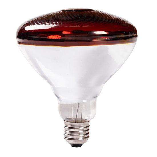 Infrared Par38 E27 175w Ruby 3000h