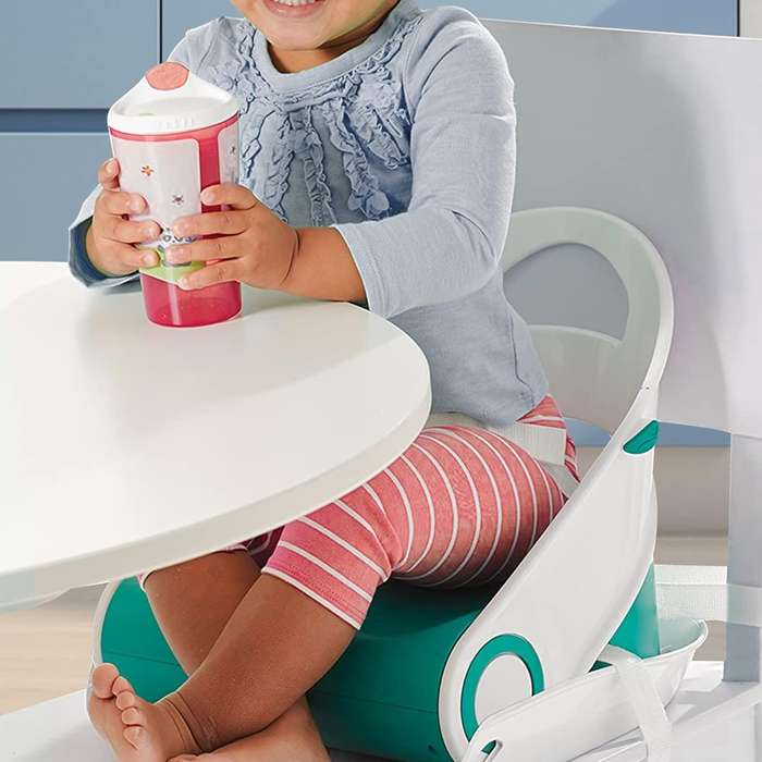Baby Snug Seat with Removable Tray  Adjustable, Supportive & Easy-to-Clean Booster Seat