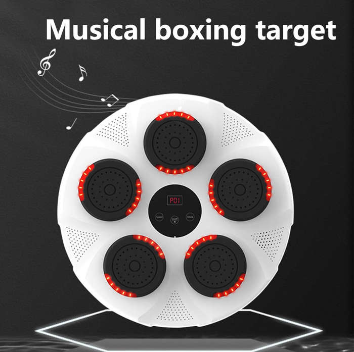 Smart Electronic Boxing Target Machine for Kids & Adults