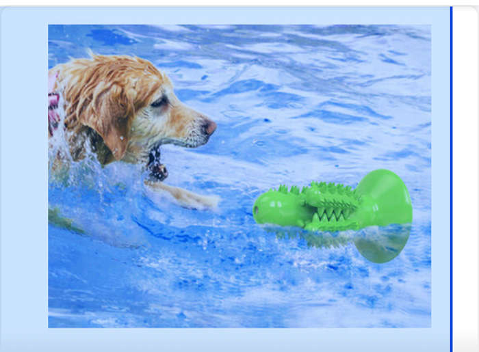 Doggie Toothbrush Molar Stick Cactus Shape