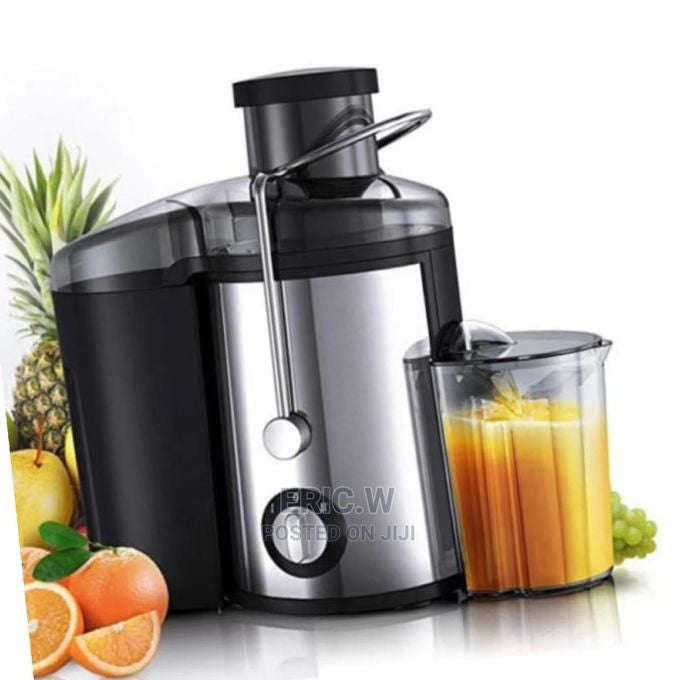 RAF R2817R Electric Juicer Food Grade Stainless Steel Big Feeding Mouth Portable Juice Extractor