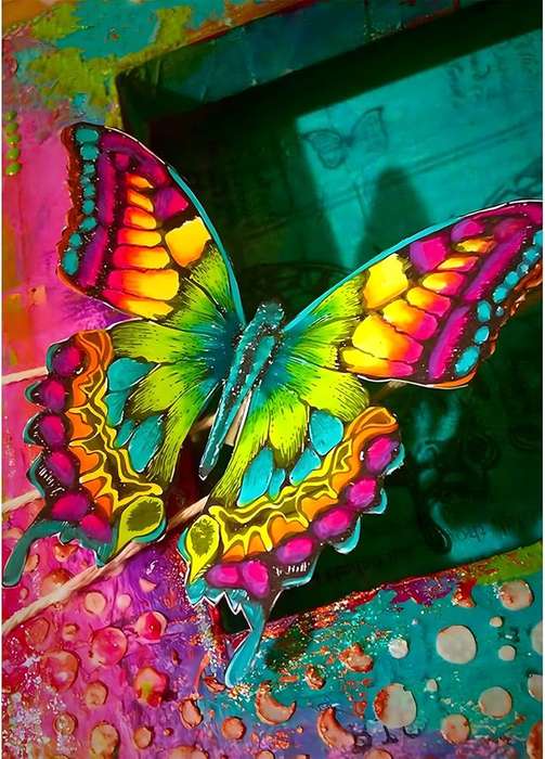 Colourful butterfly